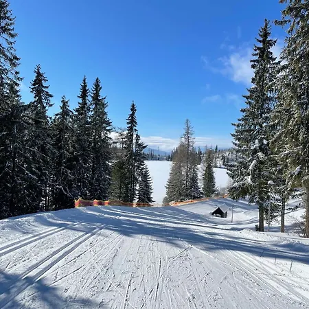 Sivy Vlk Hrebienok Vysoke Tatry